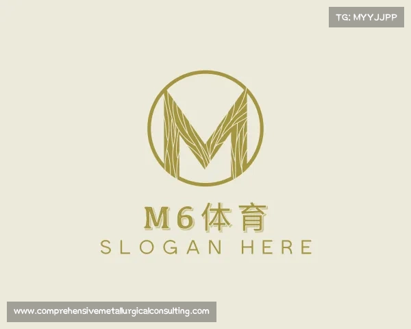 关于m6体育
